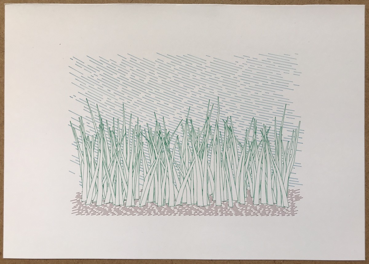 Pen plotter drawing of thing glass blades in green, with brown soil and blue sky in the background.