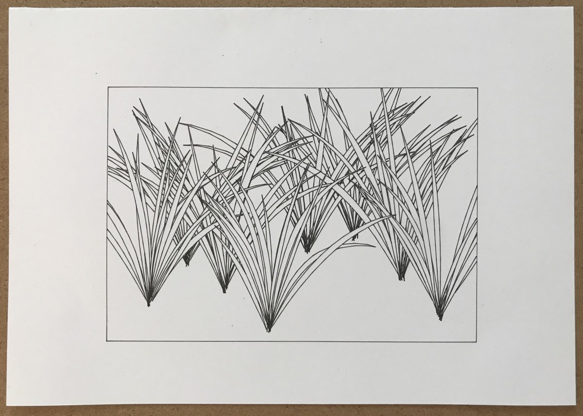 Black-and-white pen plotter drawing showing tufts of procedurally generated grass.