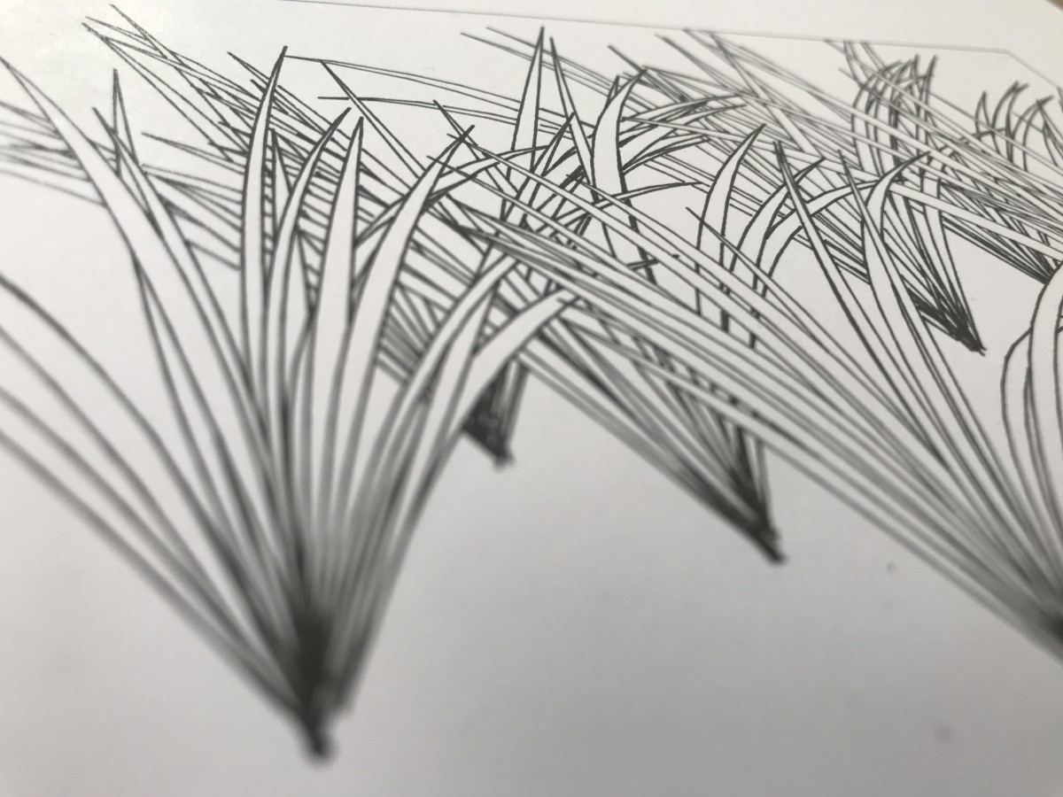 Black-and-white pen plotter drawing showing tufts of procedurally generated grass.