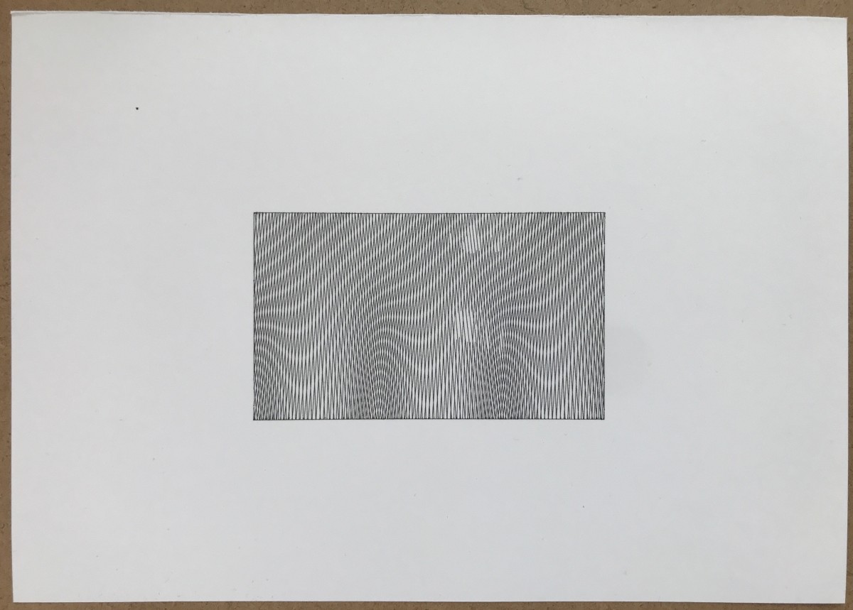 Plotter drawing with two sets of lines at a slightly different angle and spacing, producing a Moiré effect.