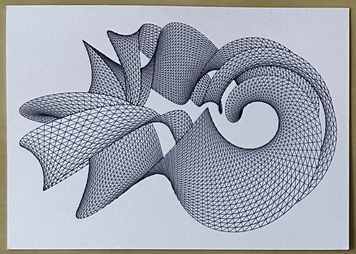 Mesh drawing of two looping, twisted ribbons.